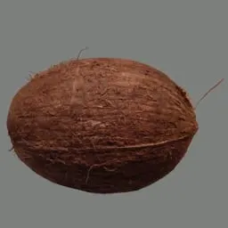 A coconut